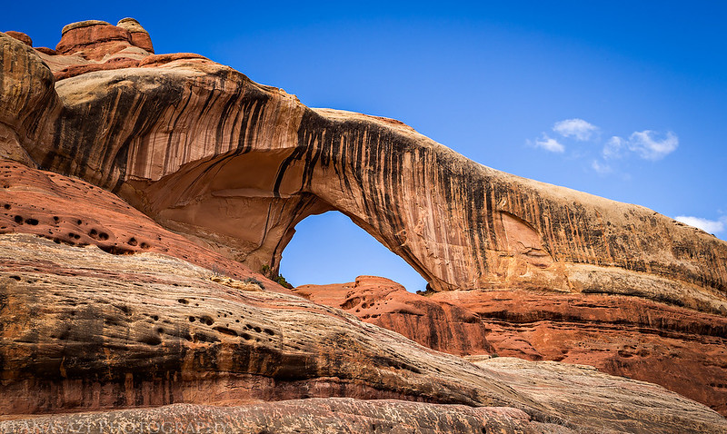 Cleft Arch Closeup