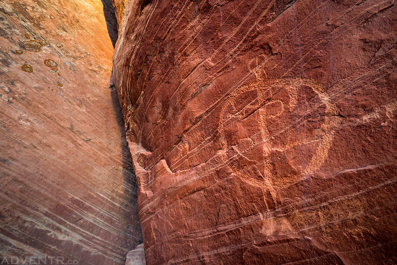 Horned Shield Petroglyph