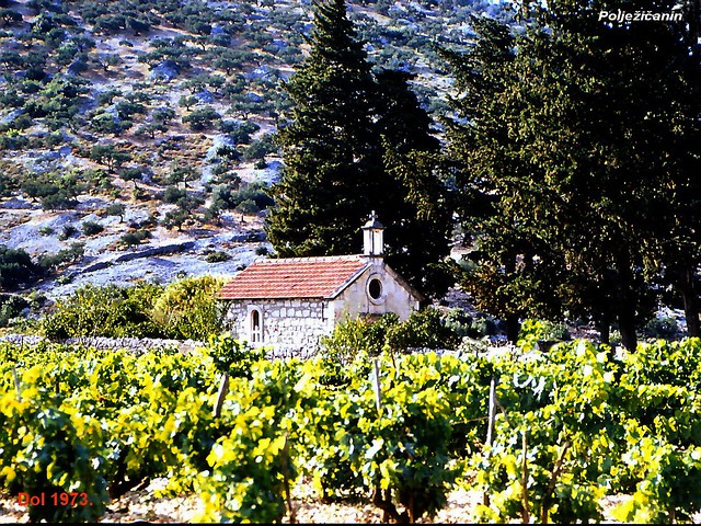 Chapel and vineyards