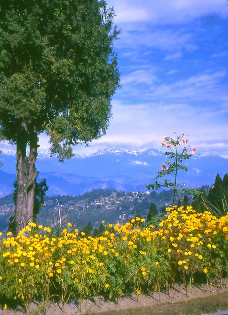 File:Kurseong Darjeeling West Bengal India (2).JPG - Wikimedia Commons