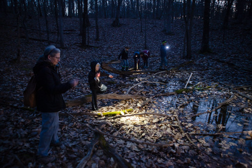 Forest Pools Preserve in Cumberland County, Pa. | by chesbayprogram