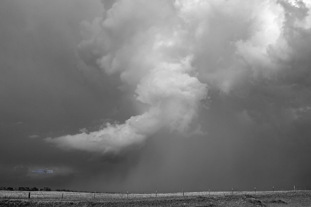 042616 - 1st Severe Storms of the Day B&W 002