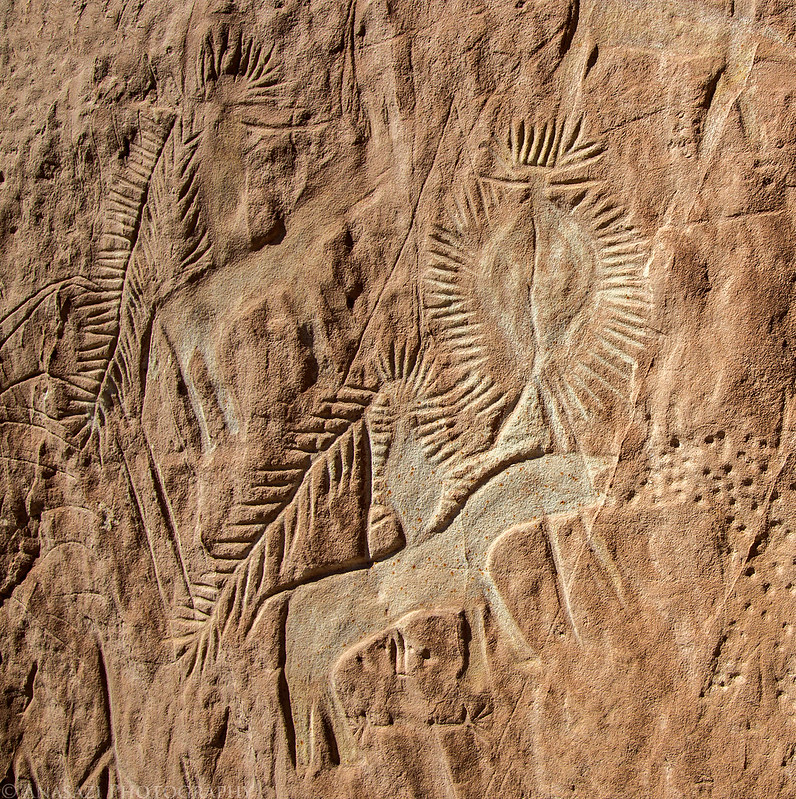 Ute Petroglyphs