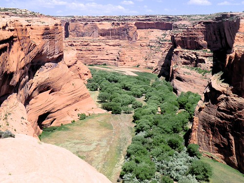 Canyon del Muerto (Canyon de Chelly) | by gravesVpelli