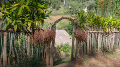 Near Tupi Senda, Enga Prov. Papua New Guinea