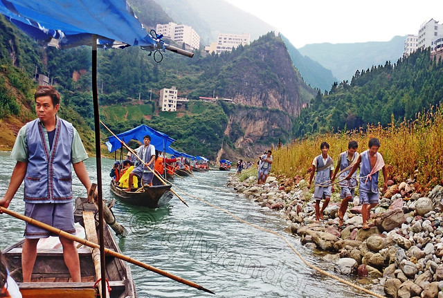 China.  Badong County, men along the cobblestone banks towing tourist boats in the shallow waters of Shennong stream, tributary to Yangtze river