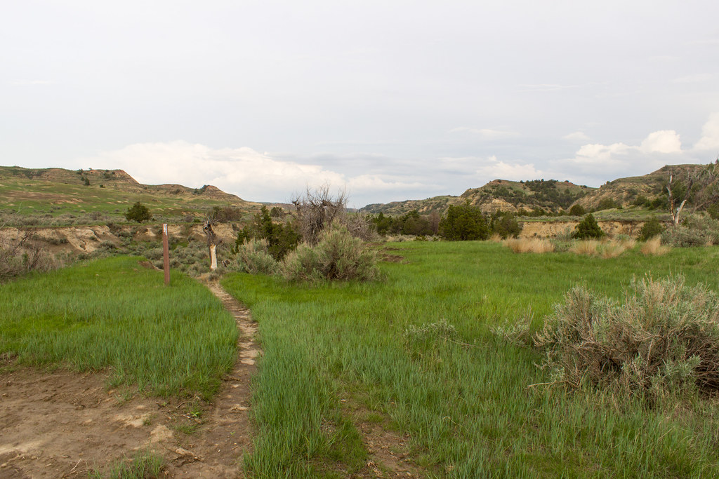 Lower Paddock Creek Trail