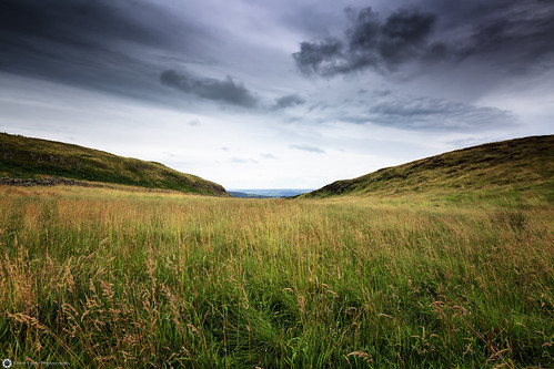 silenteaglephotography landscape weather plants sky clouds grey hadrianswallatcuddyscrags buddyscrags northumberland outdoor ep0958 1125 ƒ80 iso50 england