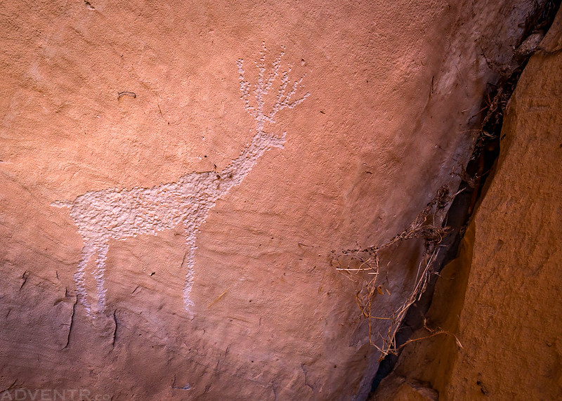 Petroglyph & Cobwebs