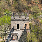 The Great Wall Mutianyu