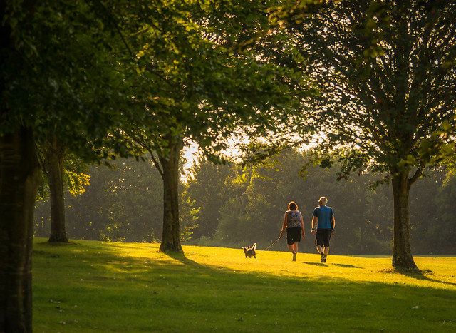 A couple take  their dog for an evening walk at Charlton Lakes in Andover, Hampshire