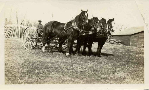 Found Photo - John W Parkinson | by gt_hawk63