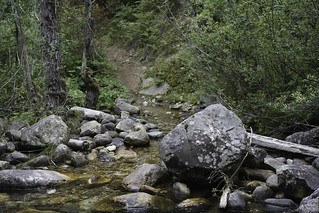 Homestead Creek