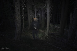 Dark woods