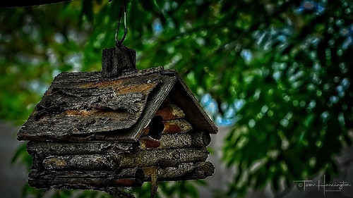 For Rent ... Cheeep | by DayTripper (Tom)