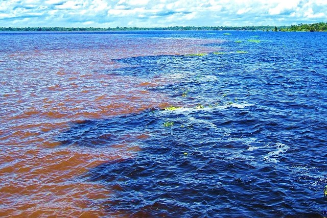Meeting of Waters near Manaus in Brazil