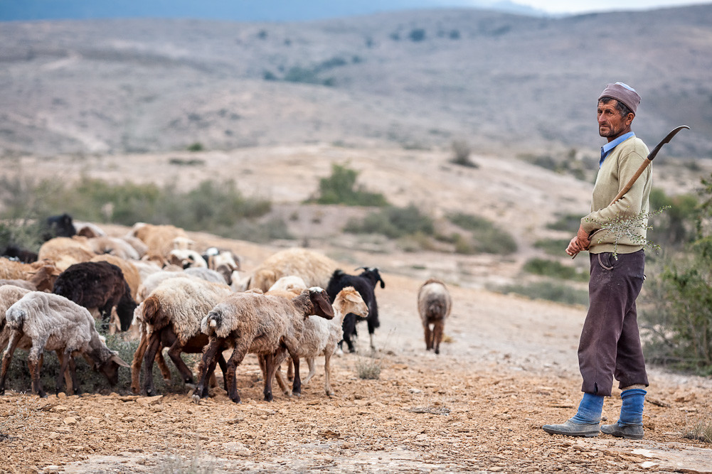 Iranian shepherd in Mazandaran Province