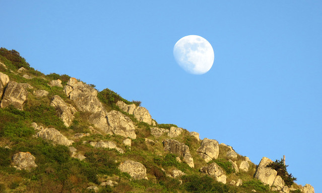Luna greca - Greek moon