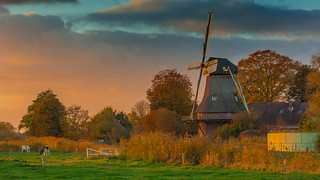 Sengwarder Mühle Herbst