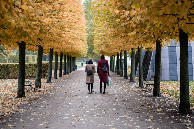 Autumn in Copenhagen's King's Garden, Denmark / Efterår i Københavns Kongens Have, Danmark