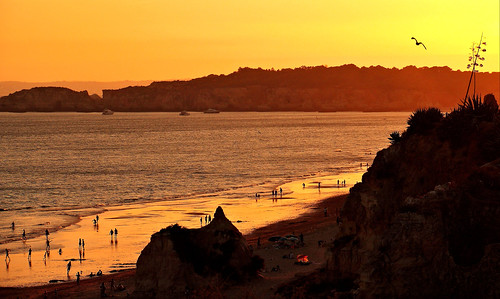 praiadarocha beach algarve portugal europa sunset orange gold sea sand water people rock summer atlanticocean