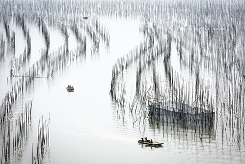 霞浦 Shajiang fishing village by *dans, 霞浦 沙江漁村 
霞浦縣是福建省寧德市轄縣，建城1700餘年，是閩東最古老的縣份，閩東文化中心。
The unique beauty of Xiapu's mudflats at sunrise an