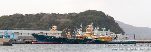 9 boats fishing fleet flotilla harbour moored pelagic quay ships vessels gotōshi nagasaki japan