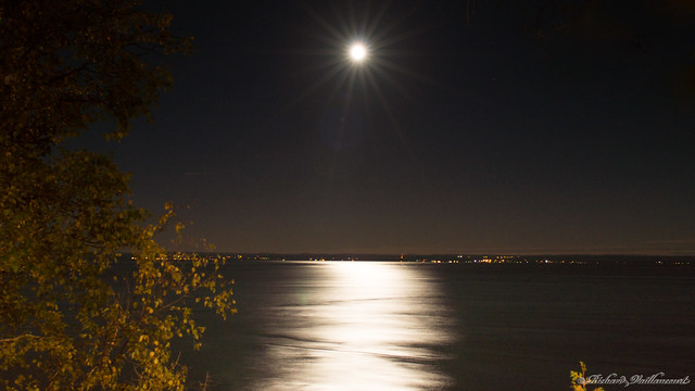 Reflet de la lune sur le fleuve la nuit - La Malbaie, P.Q., Canada - 7371