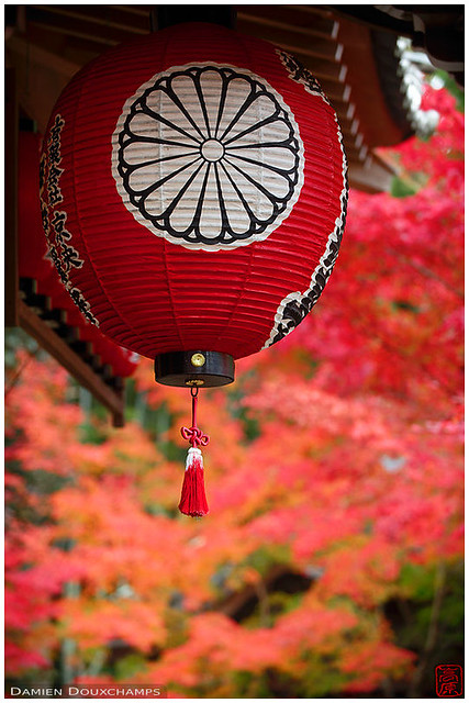 Red lantern, Sekisanzen-in temple, Kyoto
