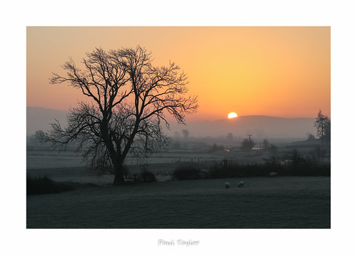 december winter cumbria thelakedistrict eos7dmkii lythvalley sunrise frost dawn tree canon2470f28lmkii