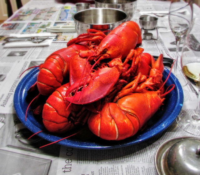 Nova Scotia Lobsters