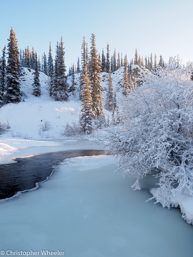 landscape winter genre nature mist stream northof60 beauty deepcold borealforest openwater cold wetlands steam outdoors borealecosystem boreal outside frost north mzuiko1240mmf28 northern yukon canada olympusomdem1 snow southernyukon ice portraitorientation