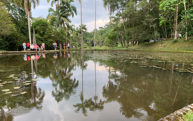 The Lake of the Ipiranga Creek Springs, the Botanical Garden of São Paulo, Brazil.