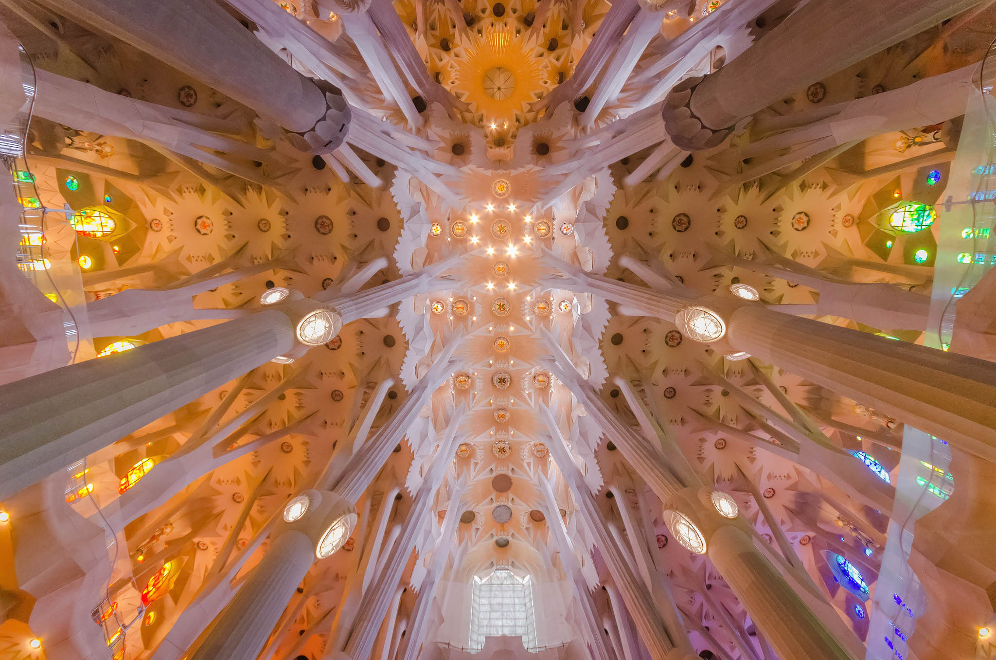 Ceiling of the Sagrada Familia