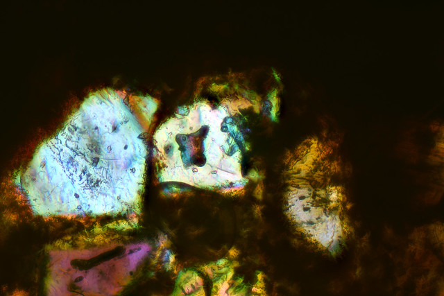NWA 10669 Meteorite Image 1