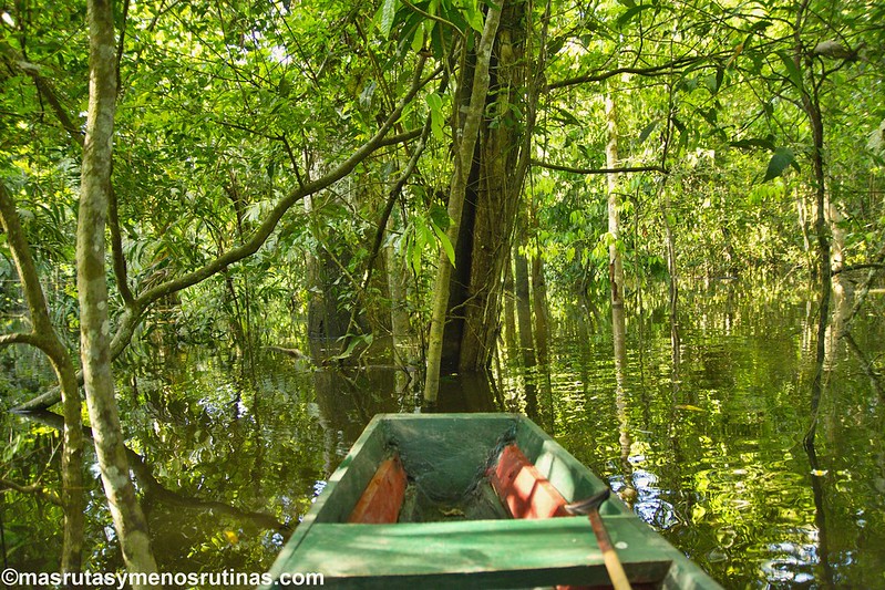 Amazonía peruana (Gamboa) desde Leticia - Palmeando por COLOMBIA (7)