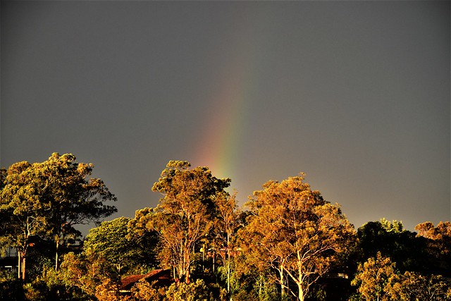 rainbow ---------- DSC_1069