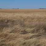 Comanche National Grassland, Colorado Comanche National Grassland; Highway 385, S of Lamar, CO