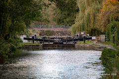 Bowbridge Lock