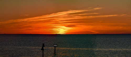 d850 tampabay magic blessings bay birds sooc daymark noprocessing painting dusk channelmarkers contrast miracle imrananwar lifestyle imran blessed noedit nikon water handheld gold panorama apollobeach red waterfront spring gratitude silhouette ocean seaside seagulls reflections boating ospreys sky sunset stpetersburg clouds florida god