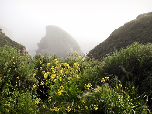 california landscape coastal nikonb700 seascape fog nature