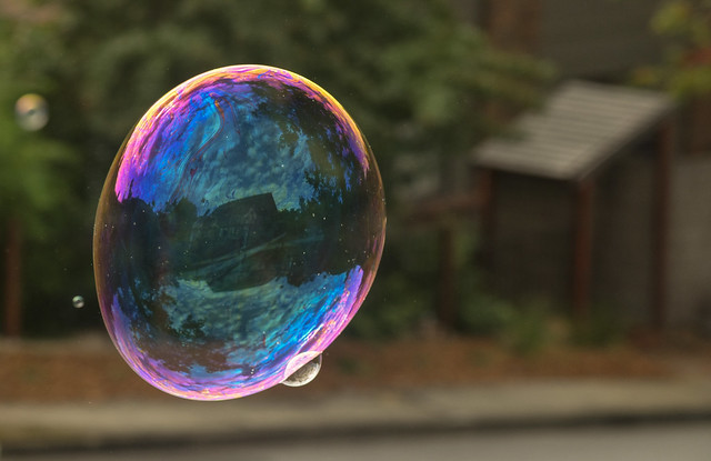 BUBBLE -------- July 2016 049_edited