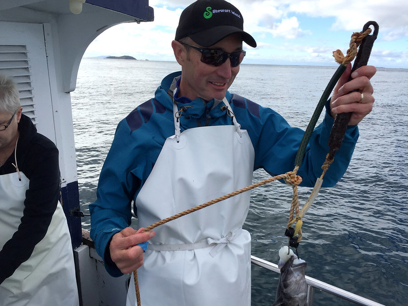 Stewart Island things to do - fishing charters