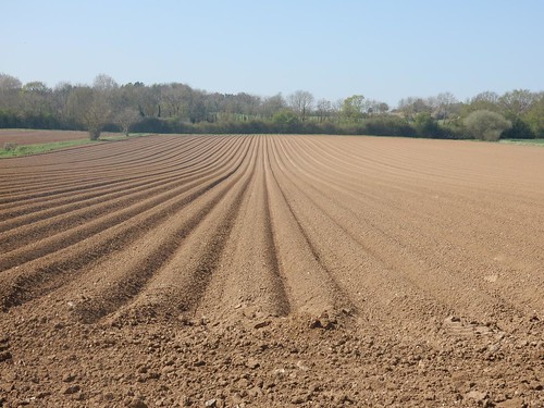 Big ploughed field Bures to Sudbury