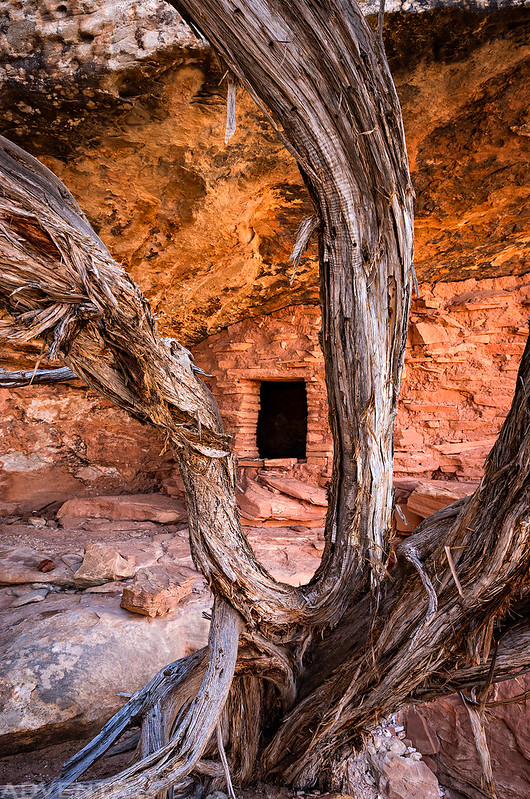 Hidden Doorway