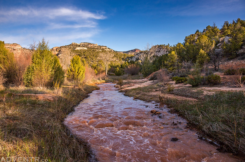 Rushing Waters