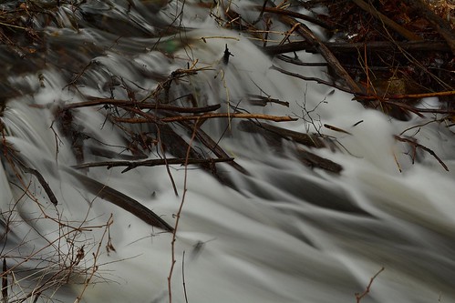 water waterflowing flowingwater highwater wetweather springwater brook brownbrook beaverdam longexposure longexposurephoto longexposurephotography nature naturephoto naturephotography landscape landscapephoto landscapephotography april maine