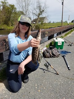 Ava Chlebnikow and the northern snakehead she caught