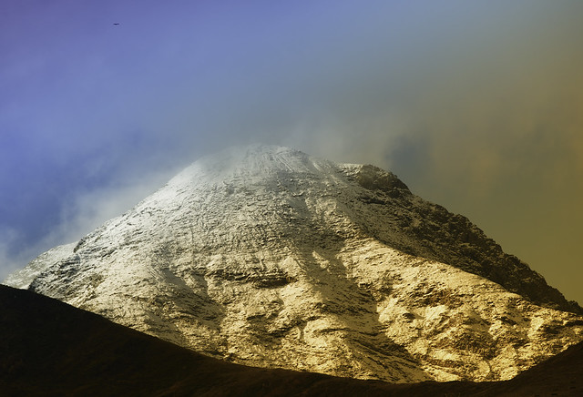 petit vautour & grande montagne (Pyrénées)