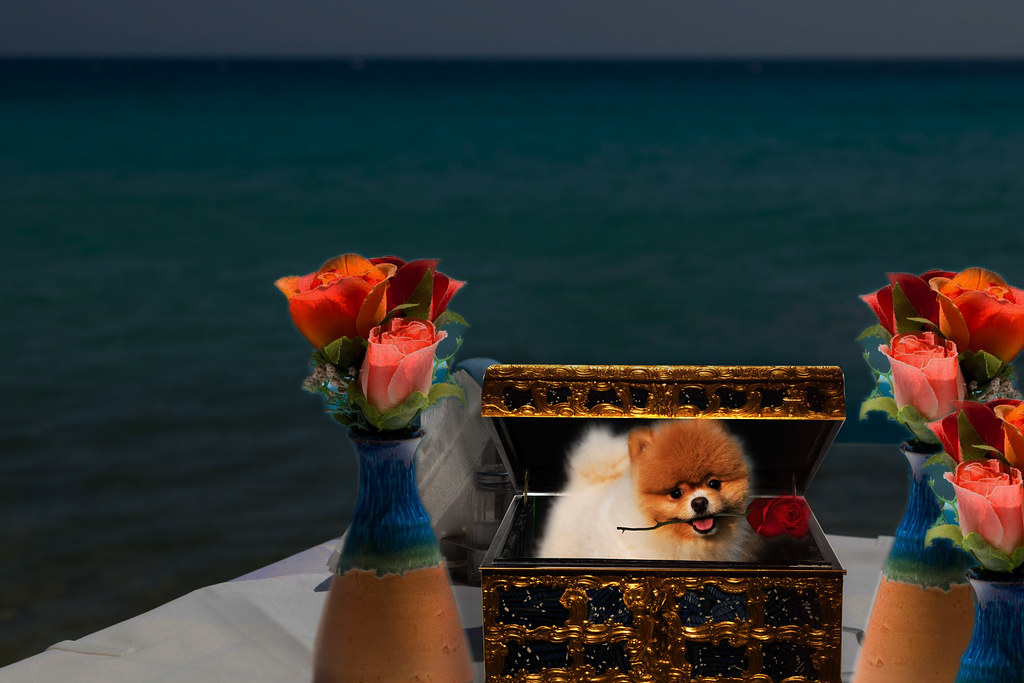 Created for:
Photoshop Contest Week 728 ~ The Glass Case

Thanks to:
Clara Don for the "glass case'
and
Petr Kratochvil for the table with the flowers
and
Karen Arnold for the pomeranian 
Both whose photos were downloaded  from the public domain website